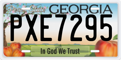 GA license plate PXE7295