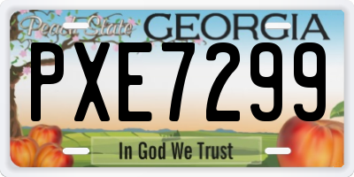 GA license plate PXE7299