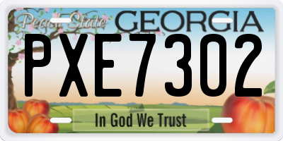 GA license plate PXE7302