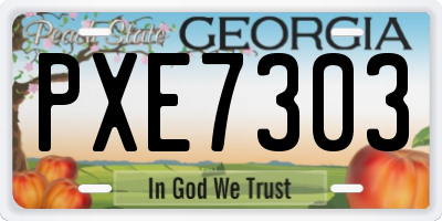 GA license plate PXE7303