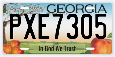 GA license plate PXE7305