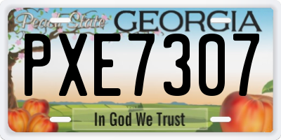 GA license plate PXE7307