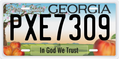 GA license plate PXE7309