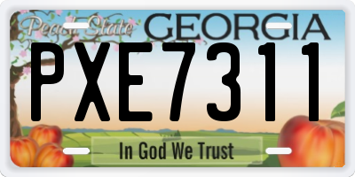GA license plate PXE7311