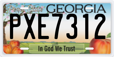 GA license plate PXE7312