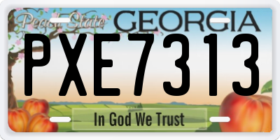 GA license plate PXE7313