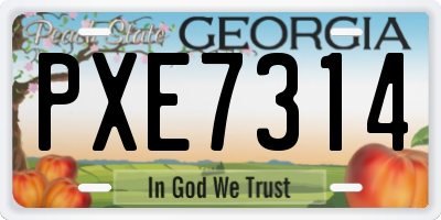 GA license plate PXE7314