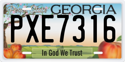GA license plate PXE7316