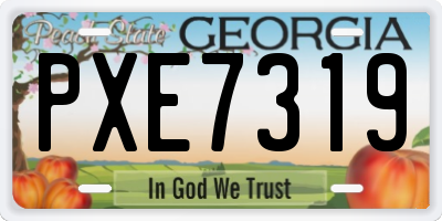 GA license plate PXE7319