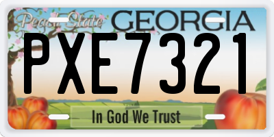 GA license plate PXE7321