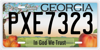 GA license plate PXE7323