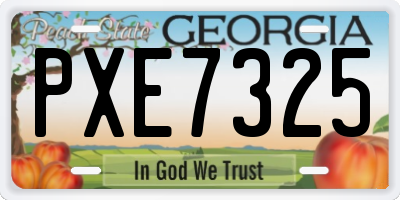 GA license plate PXE7325
