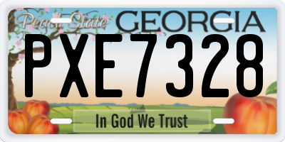 GA license plate PXE7328