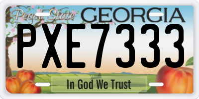 GA license plate PXE7333