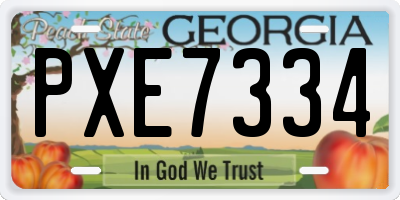 GA license plate PXE7334