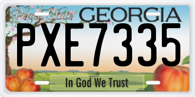 GA license plate PXE7335