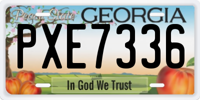 GA license plate PXE7336