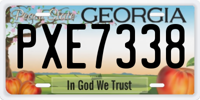 GA license plate PXE7338