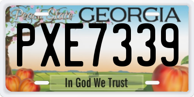GA license plate PXE7339