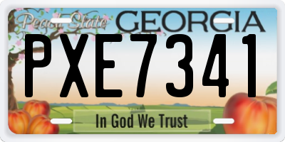 GA license plate PXE7341
