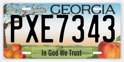 GA license plate PXE7343