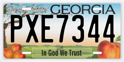GA license plate PXE7344