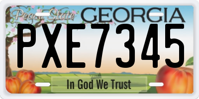 GA license plate PXE7345