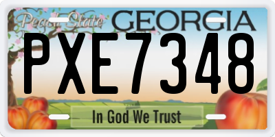 GA license plate PXE7348