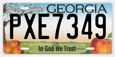 GA license plate PXE7349