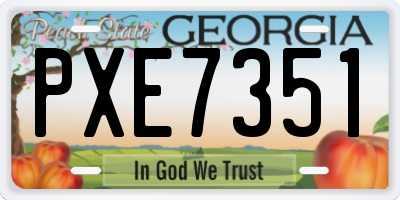 GA license plate PXE7351