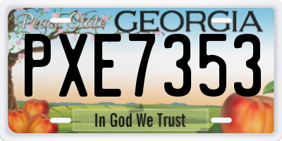 GA license plate PXE7353