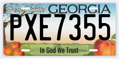 GA license plate PXE7355