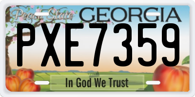 GA license plate PXE7359