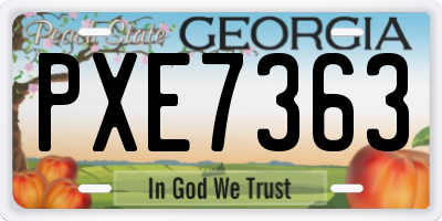 GA license plate PXE7363