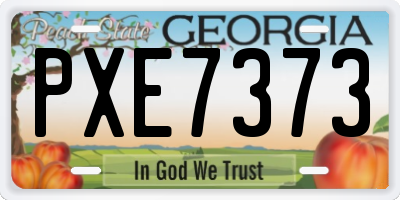 GA license plate PXE7373