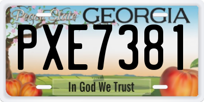 GA license plate PXE7381