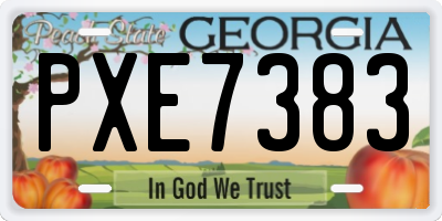 GA license plate PXE7383