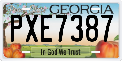 GA license plate PXE7387
