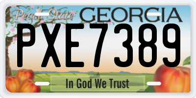 GA license plate PXE7389