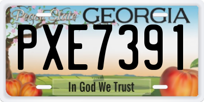 GA license plate PXE7391