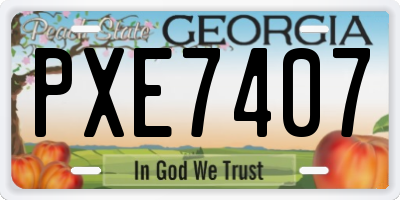 GA license plate PXE7407