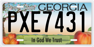 GA license plate PXE7431