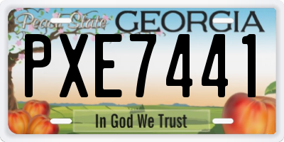 GA license plate PXE7441