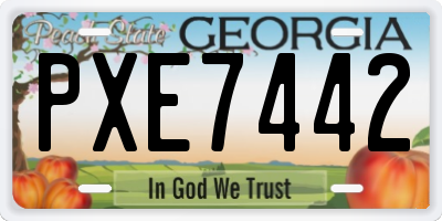 GA license plate PXE7442