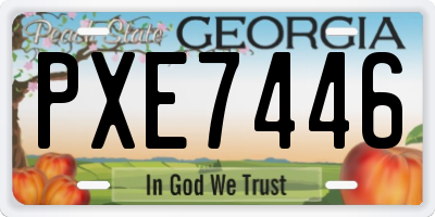 GA license plate PXE7446