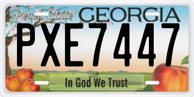 GA license plate PXE7447