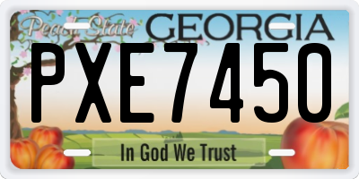 GA license plate PXE7450