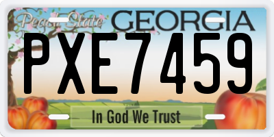 GA license plate PXE7459
