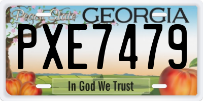 GA license plate PXE7479