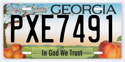 GA license plate PXE7491
